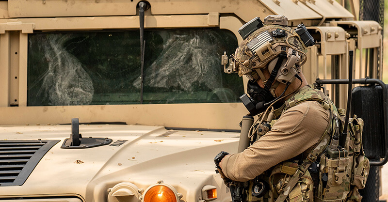 shutterstock_2549986965